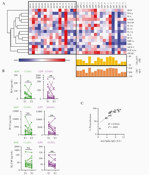 Attenuation of hyperinflammation and mitigation of hypoxia in response to convalescent plasma. A, Heatmap representing log2 fold change between T1 and T2 in the plasma abundance of major cytokines associated with ARDS compared between SOC (n = 16) and CPT (n = 17) groups. Heatmap was made with Morpheus and rows are clustered using 1 minus Pearson correlation distance and average linkage. Anti-spike IgG content and nAb content of the convalescent plasma transfused are represented for the respective patients in the CPT group. AU represents the total units of either IgG or the Neutralizing contents received through two units of CP transfused to a given recipient, based on the corresponding values for each unit of CP. B, Reduction in plasma levels of IL-6, IP-10, and M-CSF from T1 to T2 compared between SOC and CPT groups. The percentage difference in median value at T2 compare to T1 was also calculated for 3 of the cytokines. C, Correlation between the anti–SARS-CoV-2 spike IgG content of convalescent plasma transfused into patients and their neutralization efficacy in the in vitro assay. Abbreviations: ARDS, acute respiratory distress syndrome; CPT, convalescent plasma therapy; IgG, immunoglobulin G; nAb, neutralizing antibody; ns, nonsignificant; SARS-CoV-2, severe acute respiratory syndrome coronavirus 2; SOC, standard of care; T, time point; see text for definitions of cytokines.