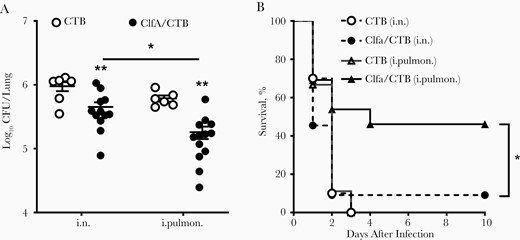 Immunization through the intrapulmonary (i.pulmon.) route provided better protection against Staphylococcus aureus infection. Mice were immunized through the intranasal (i.n.) or i.pulmon. route with clumping factor A (ClfA) and cholera toxin B subunit (CTB) or with CTB alone as control thrice with 2-week intervals. Three weeks after the last immunization, mice were i.pulmon. challenged with S. aureus. A, Colony-forming units (CFUs) in homogenized lung tissue were determined 24 hours following challenge (n = 6–8). B, Mice were i.pulmon. challenged with a high dose of S. aureus and monitored daily over 10 days (n = 10 per group). Data are presented as the mean ± standard error of the mean of 2 independent experiments. *P < .05, **P < .01; 2-way analysis of variance with Tukey posttest (A) or log-rank test (B).