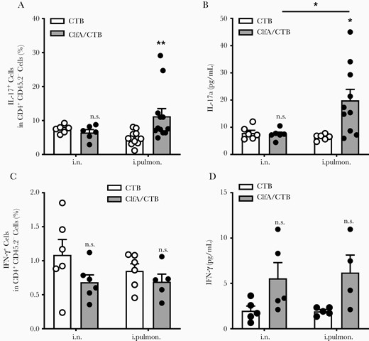 Immunization with clumping factor A through the intrapulmonary route induced pulmonary Th17 response. Six days after challenge, T cells in the lungs were determined by flow cytometry. A, Lung parenchymal Th17 cells (CD4+ IL-17+ CD45.2−) and (C) Th1 cells (CD4+ IFN-γ + CD45.2−) (n = 5–12). The expression of IL-17a (B) and IFN-γ (D) in the supernatants of lung homogenates was determined by enzyme-linked immunosorbent assay (n = 4–10). Data are presented as mean ± standard error of the mean of 2 or 3 independent experiments. *P < .05, **P < .01, n.s., not significant; 2-way analysis of variance with Tukey posttest. Abbreviations: ClfA, clumping factor A; CTB, cholera toxin B subunit; IFN-γ, interferon gamma; IL-17, interleukin 17; i.n. intranasal; i.pulmon., intrapulmonary.
