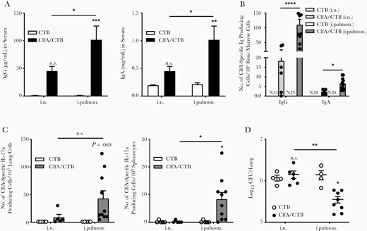 Long-term immunity against Staphylococcus aureus was induced by immunization through the intrapulmonary route. A, At 180 days after the last immunization, clumping factor A (ClfA)–specific immunoglobulin G (left) and immunoglobulin A (right) in serum samples were determined by enzyme-linked immunosorbent assay (n = 6–10). B, ClfA-specific long-lived plasma cells in the bone marrow were determined by enzyme-linked immunospot assay (ELISpot) (n = 5–10). C, ClfA-specific IL-17a–secreting cells in the lungs (left) and spleens (right) were measured by ELISpot (n = 5–10). D, Colony-forming units in the lungs were determined 24 hours after challenge (n = 4–8). Data are presented as mean ± standard error of the mean of 2 or 3 independent experiments. *P < .05, **P < .01, ***P < .001, ****P < .0001, n.s., not significant; 2-way analysis of variance with Tukey posttest. Abbreviations: CFU, colony-forming unit; ClfA, clumping factor A; CTB, cholera toxin B subunit; IgA, immunoglobulin A; IgG, immunoglobulin G; i.n. intranasal; i.pulmon., intrapulmonary; N.D., not detected.