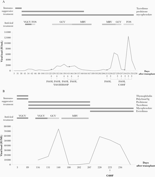 Clinical follow-up of patient 1 (A) and patient 2 (B). Viral loads were tracked against days after transplantation. Immunosuppressive and antiviral treatment outset and end are indicated. Genotypic assays were performed in the clinical isolates indicated with an arrow. Gastrointestinal biopsies are indicated with a dot; substitutions found in the UL54 and UL97 (bold) genes are shown below. Abbreviations: FOS, foscarnet; GCV, ganciclovir; Ig, immunoglobulin; MBV, maribavir; VGCV, valganciclovir.