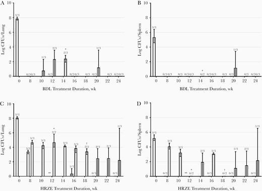 Mycobacterial load in lung (A, C) and spleen (B, D) expressed as medians and ranges (error bars) of the colony-forming units (CFUs) per organ. Results at weeks 8, 12, 16, 20, and 24 of treatment are expressed as white bars, and relapse assessment was performed 12 weeks after a treatment duration of 8, 10, 12, 14, 16, 18, 20, 22, and 24 weeks, expressed as gray bars. Mice were treated with bedaquiline, delamanid, and linezolid (BDL) (A, B) or isoniazid, rifampicin, pyrazinamide, and ethambutol (HRZE) (C, D). Numbers above bars are the numbers of culture-positive mice of total numbers of mice at that time point. *CFU counting was not performed since the culture plates were contaminated. †One mouse reached humane end points before planned euthanasia.