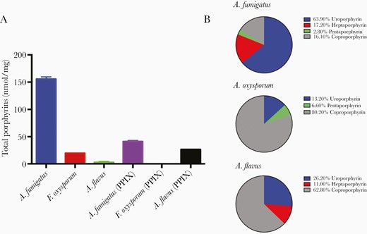 A, Porphyrin concentrations (intermediate porphyrins, PPIX) present within Aspergillus fumigatus, Fusarium oxysporum, and Aspergillus flavus. B, Percentage composition of intermediate porphyrins in A. fumigatus, F. oxysporum, and A. flavus.