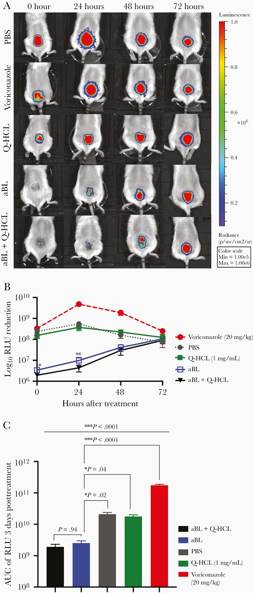 A, Representative bioluminescent images showing the real-time viability of Aspergillus fumigatus over 72 hours posttreatmen. B, Kinetics of A. fumigatus recurrence following treatment with aBL (576 J/cm2), aBL (576 J/cm2) + Q-HCL (0.6 mg/cm2), Q-HCL, voriconazole, and PBS (untreated). Statistical analyses were a 2-way ANOVA with a Benjamini-Hochberg correction that compared aBL vs aBL + Q-HCL. C, AUC of the RLU over 72 hours following treatment with aBL, aBL + Q-HCL, Q-HCL, voriconazole, and PBS (untreated). Comparison aBL with all other groups was by a 1-way ANOVA and Benjamini-Hochberg correction. Error bars, standard error of the mean. * P < .05, ** P < .01, ***P < .001. Abbreviations: aBL, antimicrobial blue light; ANOVA, analysis of variance; AUC, area under the curve; PBS, phosphate-buffered saline; Q-HCL, quinine hydrochloride; RLU, relative luminescence unit.