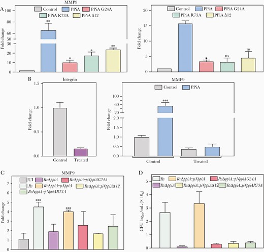 Peptidyl prolyl isomerase A (PPiA) secretion and catalytic activity, as well as interaction with integrin, are necessary for its functionality. A, A549 cells were treated with 5 µg/mL of indicated proteins for 1 hour, followed by isolation of the host RNA to assess mmp9 and integrin α5β1 levels. Control: no protein. B, THP1 cells were either left untreated (control) or transfected with integrin α5 endoribonuclease-prepared siRNA (esiRNA), and the transfection efficiency was assessed by quantifying integrin α5 levels. Transfected cells were treated with 10 µg PPiA for 1 hour and mmp9 levels were quantified. C, THP1 cells were infected with indicated strains at 1:10 multiplicity of infection (MOI) for 24 hours, followed by isolation of host RNA to quantify mmp9 levels. D, THP1 cells were infected with indicated strains at 1:10 MOI, and intracellular bacillary survival was enumerated at 24 hours postinfection. *P<.05; **P<.005; ***P<.0005. Abbreviations: CFU, colony-forming units; ns, not significant; PPiA, peptidyl prolyl isomerase A; UI, uninfected.