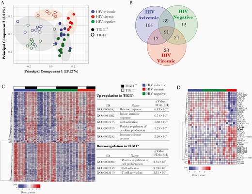 Transcriptome analyses of TIGIT+CD8+ and TIGIT−CD8+ T-cell subsets. Enriched TIGIT+CD8+ and TIGIT−CD8+ T cells from human immunodeficiency virus (HIV)–aviremic (n = 8), HIV-viremic (n = 6), and healthy individuals (n = 15) were subjected to RNA microarray analysis. A, Principal component analysis. B, Venn diagram of genes differentially expressed in TIGIT+CD8+ versus TIGIT−CD8+ T cells of the 3 study groups. Numbers of genes commonly expressed among the study groups are indicated. C, Hierarchically clustered heat map of 180 differentially expressed genes between TIGIT+CD8+ and TIGIT−CD8+ T-cell subsets in HIV-aviremic and healthy individuals. Top categories of gene ontology (GO) analyses are listed. D, Hierarchically clustered heat map of differentially expressed genes in the TIGIT+CD8+ T-cell subsets of HIV-viremic versus HIV-aviremic and healthy individuals. Differences in relative levels of gene expression (z score) are indicated in color, where red indicates up-regulation and blue, down-regulation. Abbreviation: BH, Benjamini-Hochberg; FDR, false discovery rate; ID, identifier.