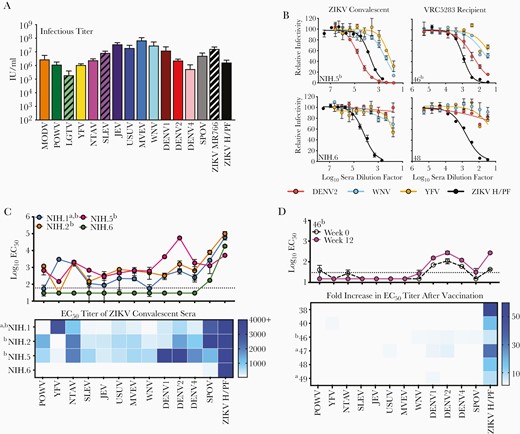 Neutralization sensitivity of virus- and vaccine-induced antibody responses against a panel of reporter virus particles (RVPs). Flavivirus RVPs were produced and infectious titers were quantified as detailed in the Supplementary Experimental Procedures. (A) Infectious titers for the entire panel of RVPs were estimated using the most linear portions of the virus dose-infectivity curves and expressed as infectious units per milliliter (IU/mL). Shown is the average infectious titer calculated from 4 independent preparations of RVPs, each performed in duplicate; error bars represent the standard deviation. (B) Representative dose-response neutralization curves of Zika virus (ZIKV) convalescent sera from confirmed infection or VRC5283 ZIKV deoxyribonucleic acid vaccine recipient sera (12 weeks postfirst vaccine dose) against indicated RVPs are shown. Serum was serially diluted, incubated with indicated RVPs, and added to Raji-DCSIGNR cells. Green fluorescent protein-expressing cells were measured 36–48 hours postinfection using flow cytometry. Data were fit using nonlinear regression analysis in which the bottom of the curve was constrained to zero and used to estimate the serum dilution required to inhibit infection by 50% (EC50). Error bars represent the range of duplicate technical replicates. (C) The average EC50 neutralization titer for 4 ZIKV convalescent samples against the panel of RVPs is displayed. Each line connects the EC50 of a ZIKV convalescent individual against the designated 13 strains. Error bars depict the range of 2 independent experiments. These EC50 values are displayed in a comprehensive heat map below. A preinfection sample was not available for these individuals. (D) Average EC50 neutralization titers for prevaccination and 12 weeks postvaccination serum samples from 6 VRC5283 vaccine recipients against the designated panel of RVPs were determined (see complete data set in Supplementary Figure 5). In the top panel, an example of the primary data from a single subject is shown, connecting dashed and solid lines represent the average EC50 titers obtained with pre- and postvaccination serum from the designated recipient, respectively. Errors bars represent the range of 2 independent experiments. In the bottom panel, the fold increase in EC50 between pre- and postvaccination samples was calculated for each recipient and displayed as a heat map. The fold-increase is defined as the quotient of the postvaccination titer by the prevaccination titer. The horizontal dotted line represents the limit of detection (LOD) of the assay, defined here by the smallest dilution of sera tested. Regression analysis was not used to forecast EC50 titers if sera did not inhibit more than 50% infection at the highest dilution factor; therefore, any measurement below the LOD was assigned a value of half the LOD (a value of 30 for ZIKV convalescent sera, 15 for ZIKV vaccine clinical sera). aYellow fever virus (YFV) vaccine immunization history; bpositive for dengue virus (DENV) IgG at time of collection or vaccination.