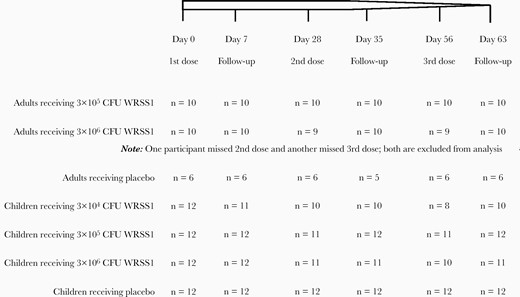 Schematic diagram of dosing and follow-up status of adult and child participants receiving different concentration of WRSS1 vaccine or placebo. Abbreviation: CFU, colony-forming unit.