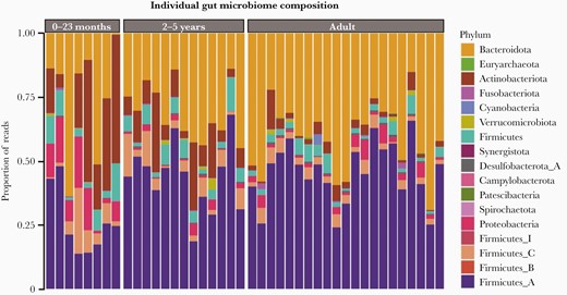 Gut microbiome composition in fecal samples from healthy Vietnamese participants. Bar chart by individual outlining the composition of the fecal microbiome by proportion of sequencing reads (%) at phylum level by age group: 0–23 months, 2–5 years, and adults. Each phylum has a unique color code (see key).