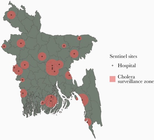 A map of the cholera greyspots in Bangladesh. Populations living in the coral pink areas are inside the cholera surveillance zone. The gray areas are places where we have little information on clinical cases of cholera because they are not captured by the national cholera surveillance system in Bangladesh.