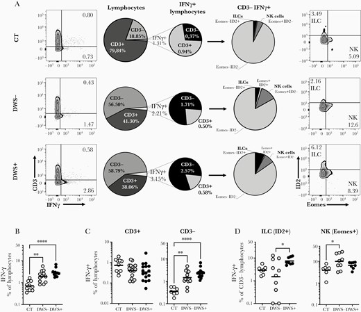 Innate lymphocytes compose an important source of interferon gamma (IFN-γ) in early stages of dengue virus (DENV) infection. Peripheral blood mononuclear cells from healthy volunteers (CT) (n = 10) and DENV-infected patients without warning signs (DWS–; n = 13) or with warning signs or severe clinical presentation (DWS+; n = 14) were evaluated by flow cytometry for spontaneous IFN-γ production during the early phase of infection (2–7 days after fever onset). Frequencies of IFN-γ–producing lymphocytes were evaluated in Lin–CD45+ gated cells (A and B) (antibody panel 1). Evaluation of IFN-γ production by CD3+ and CD3– cells was performed in lymphocyte gated cells (A and C). Production of IFN-γ by innate lymphoid cells (ILCs) and natural killer (NK) cells was evaluated in CD3– gated cells (A and D). B–D, Symbols represent single individuals and horizontal bars the geometric mean. C, Bars represent Geometric Means. Differences between groups were analyzed by Kruskal-Wallis test: *P ≤ .05; **P ≤ .01; ***P ≤ .001.