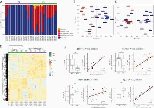 Cerebral malaria (CM) and uncomplicated malaria (UM) parasites gene expression. (A) Proportions of ring, early trophozoite, late trophozoite, schizont, and gametocyte stage parasites in each sample. (B) Principal component analysis (PCA) plots of the all-gene expression normalized for library size (read counts available in Supplemental Table 1); (C) PCA plot of gene expression normalized for library size, life-cycle stage effect, and unwanted variations (read counts available in Supplemental Table 1). (D) Heatmap of differentially expressed genes. An upregulated expression is represented in red and the downregulation is in blue. (E) Distribution of normalized expression values measured by RT-qPCR in CM and UM is represented (boxplot). The P values were calculated with the Mann-Whitney U test and are represented by as follows: *** <.001, ** <.01, and * <.05. The correlation between the normalized expression values measured by RT-qPCR and RNA-seq was represented through the regression line and tested by the Spearman rank test (Spearman rank correlation coefficient ρ and P values are shown).