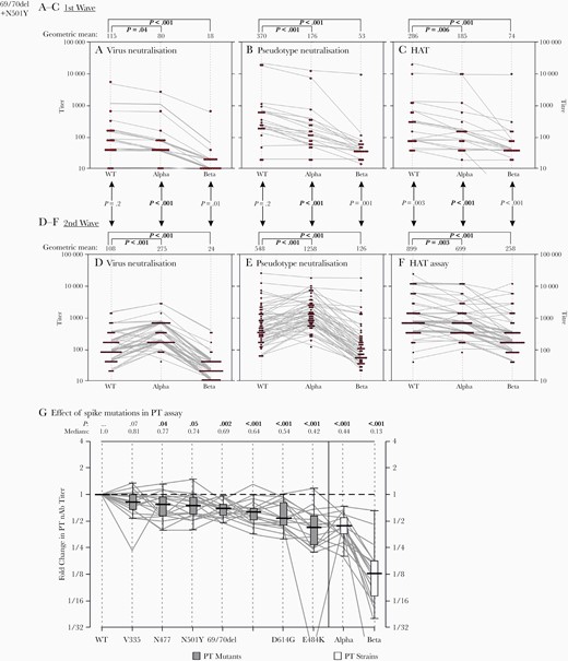 Effect of severe acute respiratory syndrome coronavirus 2 (SARS-CoV-2) strain variation and individual spike protein mutations on neutralization. A–F, Comparison of neutralizing antibody (nAb) titers to virus (A, D) and pseudotype (B, E) neutralization and the hemagglutination test (HAT) results (C, F) for virus isolates and constructs derived from wild-type (WT), Alpha, and Beta strains of SARS-CoV-2. Titers were further compared between samples collected in mid-2020 when WT viruses predominated, before the emergence of SARS-CoV-2 variants (A–C), with those collected when the Alpha variant was primarily circulating in the United Kingdom (D–F). Graphs depict individual reactivities of samples as dot and parallel plots; for the latter, nAb and HAT titers have been jittered for display purposes to avoid superimposition of lines. Titers were compared between viruses by Spearman rank correlation test for paired samples; P values are shown above each graph. For comparison of unpaired samples between time points, titers were compared using Mann-Whitney U test; P values are shown between graphs. P values showing significant associations (P < .05) are highlighted in bold. G, Pseudotype nAb titers of first-wave samples against 6 constructs with individual mutations (x-axis) incorporated into modified spike gene constructs. Titers were normalized to reactivity to the WT construct (y-axis), and ratios compared with those against Alpha and Beta strains of SARS-CoV-2 that incorporate these mutations. Tukey box plots depict medians (black bar), interquartile ranges (boxes), and minimal and maximal values (excluding outliers) (whiskers) of ratios. Distributions were compared using Spearman rank correlation test for paired samples; medians and P values are shown above the graph, with P values <.05 in bold. Abbreviation: PT, Pseudotype.