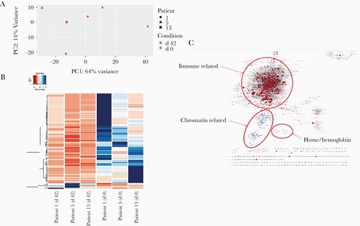 Principal component analysis, heat map, and gene set enrichment analysis (GSEA). A, Principal component analysis based on global normalized RNA sequencing gene counts by sample and condition. The day 42 sample group is in red, and the day 0 sample group in blue; patients 1, 5, and 13 are represented with a circle, a triangle, and a square, respectively. Abbreviations: PC1, principal component 1; PC2, principal component 2. B, Heat map of gene expression based on normalized mapped read counts of statistically significant (adjusted P <.05) differentially expressed genes, considering all samples (columns). C, Gene ontology enrichment map showing a network of gene ontology terms (C5 MaSigDB collection) corresponding to gene sets found significant at a false discovery rate of <0.25 on performing preranked GSEA using the signed minus log-adjusted P value as metric (signed meaning that the direction of change is kept). Red: up-regulated at 0 days, down at 42; blue: down-regulated at 0 day, up at 42.