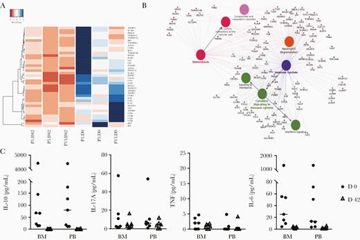 Immune-related genes and cytokine profile. A, Heat map of gene expression for innate immunity related genes based on normalized mapped read counts of statistically significant differentially expressed genes. Clustering was performed with genes in the enriched innate immunity gene ontology category (rows) for each sample (columns). Gradient colors range from red to blue, representing lower to higher expression. B, Clustering of up-regulated inflammatory genes based on gene ontology clustering (ClueGO tool). Only high-expression transcripts with significant differences (adjusted P <.05) were used. C, Comparison of cytokine levels between bone marrow (BM) aspirate and peripheral blood (PB), in both visits, measured by means of Cytometric Bead Array (n = 7). Absolute values were used for plotting and to calculate mean values for each group. Abbreviations: IL-6, interleukin 6; IL-10, interleukin 10; IL-17A, interleukin 17A; TNF, tumor necrosis factor.