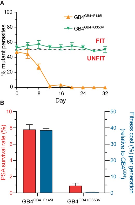 GB4GB4 + F145I exhibits a significant fitness cost. (A) Parasite fitness was determined by pairwise competition of either mutant PfCRT-edited line, F145I and G353V, with an isogenic wild-type control over 32 days. Percentages of mutant alleles relative to the wild-type allele overtime were determined using custom TaqMan allelic discrimination quantitative polymerase chain reaction assays. Results, shown as mean ± SEM, were obtained from 3 independent experiments, each performed in duplicate. (B) Piperaquine (PPQ) survival assay (PSA) survival rates at 200 nM PPQ (left Y axis, in red) and mean relative fitness costs per generation (right Y axis, in blue) are shown for GB4GB4 + F145I and GB4GB4 + G353V relative to parental GB4GB4.