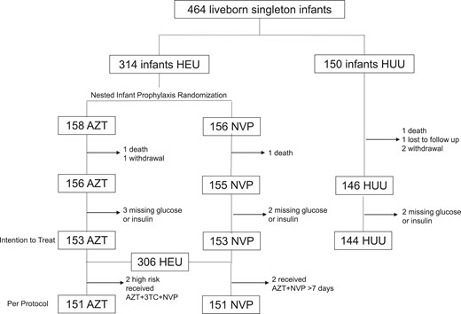 Consort diagram showing the study population enrolled and analyzed. Abbreviations: 3TC, lamivudine; AZT, zidovudine; HEU; HIV-exposed uninfected; HUU, HIV-unexposed uninfected; NVP, nevirapine.