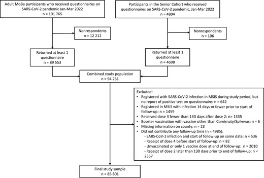 Flow chart of the study population. Abbreviations: MoBa, Norwegian Mother, Father, and Child Cohort Study; MSIS, Norwegian Surveillance System for Communicable Disease; SARS-CoV-2, severe acute respiratory syndrome coronavirus 2.