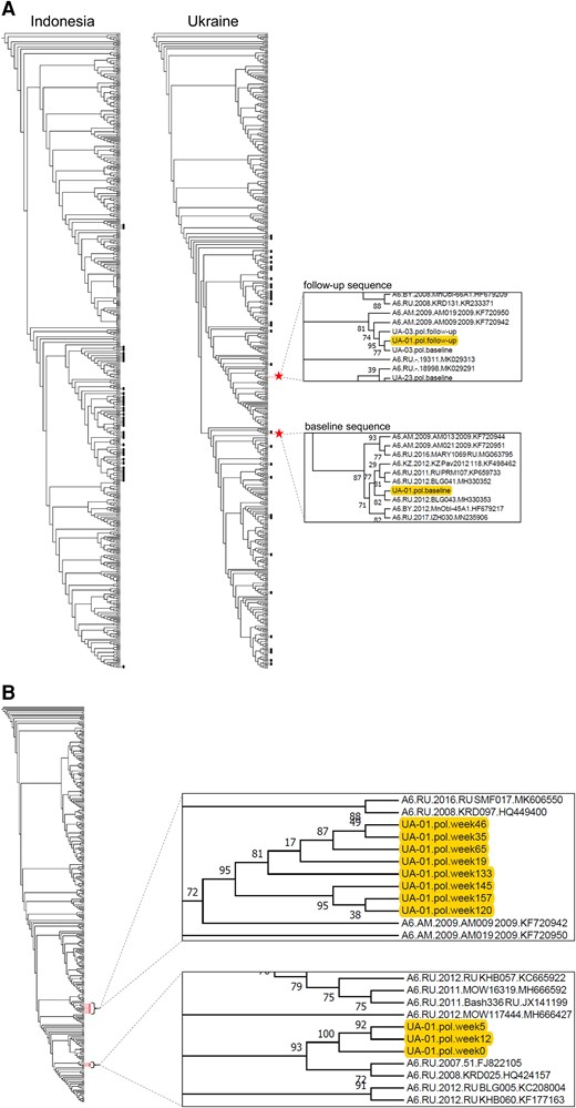 Phylogenetic analysis of pol sequences from Sanger sequencing: case UA-01. A, Phylogenetic trees were constructed using pol sequences that were generated by Sanger sequencing. The trees include baseline and follow-up sequences from 37 participants from Indonesia (with 277 background sequences) and 33 participants from Ukraine (with 299 background sequences). In 69 of 70 cases, the baseline and follow-up sequences from each participant clustered together on a monophyletic branch with high bootstrap support (black dots). Red stars indicate the position of the baseline and follow-up sequences from a participant in Ukraine (case UA-01); in this case, the 2 sequences were located in distinct polyphyletic clusters. The inserts on the right show enlarged views of the sections of the tree that include the baseline and follow-up consensus sequences from participant UA-01. B, A second phylogenetic tree was generated that included additional pol sequences from case UA-01 that were generated by Sanger sequencing. This included sequences from 11 study visits (red dots): the baseline visit (week 5, study enrollment), the follow-up visit (week 157, end of study), and 9 other visits (week 0, study screening; weeks 12, 19, 35, 46, 65, 120, 133, and 145, interim visits); 132 background sequences were included. The inserts on the right show enlarged views of the sections of the tree that include the sequences from participant UA-01. Sequences from earlier visits (weeks 0–12) and later visits (weeks 19–157) form 2 distinct clusters.