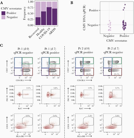 Cytomegalovirus (CMV) reactivation and effector memory reexpressing CD45RA (EMRA) T-cell activation in patients with coronavirus disease 2019 (COVID-19). A, Frequency of CMV seropositivity and seronegativity among patients recovered from mild COVID-10 (n = 27), healthy controls (n = 24), patients with COVID-19 (n = 127), and patients with non–COVID-19 acute respiratory distress syndrome (ARDS) (n = 44). Of note, these models were adjusted by age and sex but not by self-reported race, as this information was not available for healthy donors. B, CMV DNA quantitative polymerase chain reaction (qPCR) as a function of CMV serostatus, in respiratory tract samples from 40 patients with COVID-19. C, Longitudinal assessment of proportions of EMRA CD8+ T cells (red squares) using CD45RA/CD27, as well as Ki67+ and CD38+HLA-DR+ EMRA CD8+ T cells in 2 patients with CMV reactivation in the upper respiratory tract. The CMV DNA qPCR status at the time of sampling is indicated. Abbreviation: FSC-W, forward scatter width; Pt, patient.