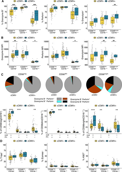 NK cells from cCMV-positive neonates express higher levels of cytotoxic mediators. A, Frequency of cord blood NK cells expressing granzyme B, perforin, and granulysin from cCMV-positive newborns (n = 16) and cCMV-negative controls (n = 69). Granulysin expression was evaluated on a smaller subset of cord blood samples (cCMV-positive, n = 8; cCMV-negative, n = 36). NK cells are defined as lymphocytes > single cells >CD3−/CD14−/CD19− > CD56+ and/or CD16+. Note that CD7 was not included in the flow cytometry panel used to evaluate markers listed in Figure 2. See details in Supplementary Figure 2B. B, Density of granzyme B, perforin, and granulysin expression on NK-cell subsets measured as normalized MFI from cCMV-positive newborns (n = 16) and cCMV-negative controls (n = 69). C, Proportion of NK-cell subsets expressing the listed combination of granzyme B and perforin in cCMV-negative (n = 69) and cCMV-positive infants (n = 16). Coexpression was calculated using Boolean gating in FlowJo and pie graphs, depicting average proportions, were generated in SPICE. D, Frequency of NK cells expressing T-bet, eomesodermin, and Ki67 in cCMV-positive infants (n = 16) and cCMV-negative controls (n = 69). *P < .05, **P < .01, ***P < .001, Wilcoxon rank sum test. Abbreviations: cCMV, congenital cytomegalovirus; GzB, granzyme B; MFI, mean fluorescence intensity; NK cell, natural killer cell; Pfn, perforin.