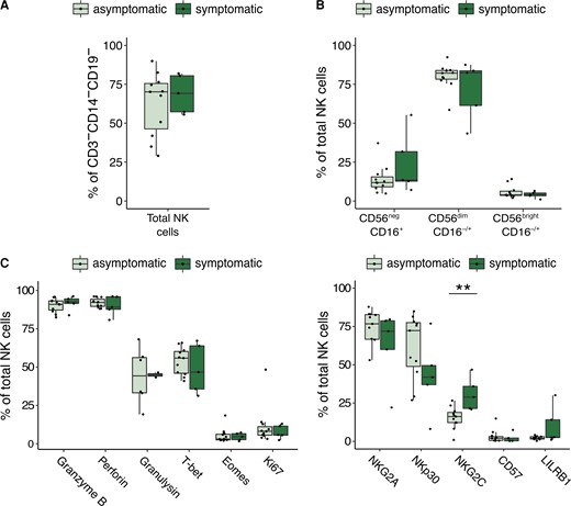 NK-cell phenotype in symptomatic and asymptomatic cCMV cases. A, Frequency of total NK cells defined as CD3−/CD14−/CD19−/CD7+ lymphocytes in cord blood from symptomatic (n = 5, dark green) and asymptomatic (n = 11) cCMV-positive newborns. Newborns are defined as symptomatic if they demonstrated severe microcephaly and/or were small for gestational age at birth. B, Frequency of NK-cell subsets out of total NK cells in cord blood derived from symptomatic (n = 5) and asymptomatic (n = 11, light green) cCMV-positive newborns. C, Frequency of NK cells expressing granzyme B, perforin, granulysin, T-bet, eomesodermin, and Ki67 in symptomatic (n = 5) and asymptomatic (n = 11) cCMV-positive newborns. D, Frequency of NK cells expressing NKG2A, NKp30, NKG2C, CD57, and LILRB1 in symptomatic (n = 5) and asymptomatic (n = 11) cCMV-positive newborns. **P < .01. For gating strategy of NK-cell subsets refer to Figure 1A for (A, B, and D), and Supplementary Figure 2B for (C). Abbreviations: cCMV, congenital cytomegalovirus; NK cell, natural killer cell.