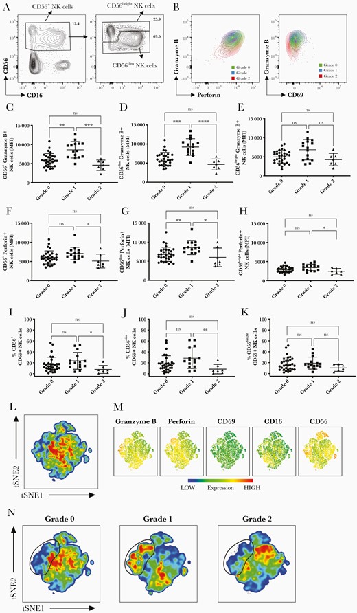 Natural killer (NK) cell phenotype. A, Identification of total CD56+, CD56dim, and CD56bright NK cells based on CD56 and CD16 expression shown for a representative patient. Left plot is gated on live, CD14–CD3– cells; right plot is gated on total CD56+ NK cells. B, Plots showing granzyme B and perforin (left) or CD69 (right) expression in 3 representative patients with grade 0, 1, and 2. C–E, Granzyme B expression depicted as mean fluorescence intensity (MFI) in CD56+ (C), CD56dim (D), and CD56bright NK cells (E) from grade 0, 1, and 2 patients. F–H, Perforin expression depicted as MFI in CD56+ (F), CD56dim (G), and CD56bright NK cells (H). I–K, Percentages of CD69+ cells were expressed in CD56+ (I), CD56dim (J), and CD56bright NK cells (K). L–N, Live CD14–CD3– cells were concatenated after downsampling and analyzed simultaneously by t-distributed stochastic neighbor embedding (tSNE) in all 50 patients (L); levels of expression of granzyme B, perforin, CD69, CD16, and CD56 are shown in N from blue to orange (low to high, respectively). tSNE maps from patients with grade 0, 1, and 2 are shown separately (left to right, respectively). A cluster of NK cells with high levels of expression of granzyme B and perforin is highlighted with a black line. All analysis included in this figure were performed at days 5–8 from illness onset (grade 0, 5.68 ± 1.05 days; grade 1, 5.33 ± 0.72 days; grade 2, 6.14 ± 1.34 days) for 50 patients (grade 0, n = 28; grade 1, n = 15; grade 2, n = 7). Statistics were calculated by Kruskal–Wallis test followed by Dunn multiple comparison test. *P < .05; **P < .01; ***P < .001; ****P < .0001; ns, not significant.