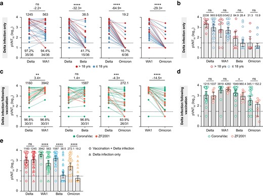 Neutralization of Delta, Wuhan-Hu-1 (WA1), Beta, and Omicron to sera from convalescent patients with Delta infection after vaccination and Delta infection only. (a) Neutralizing activity of sera from convalescent patients with Delta infection only (n = 36) sampled approximately 1 month after infection. Participants were either >18 years old (red, n = 10) or less than 18 years old (blue, n = 26). (b) Comparison of the antibody titer between patients >18 years old and patients ≤18 years old. (c) Neutralizing activity of sera from convalescent patients with Delta infection after vaccination (n = 31) sampled approximately 1 month after infection. Participants were either received CoronaVac (green, n = 22) or ZF2001 (orange, n = 9). (d) Comparison of the antibody titer between patients vaccinated CoronaVac (n = 22) and ZF2001 (n = 9). (e) Comparison of the antibody titer between patients Delta infection after vaccination and Delta infection alone by Delta (red), WA1 (green), Beta (blue), and Omicron (Orange). The neutralization titers of the sera against the indicated viral variants are expressed as 50% pseudovirus inhibitory dilution (pVNT50). Geometric mean titers (GMT) are shown above each column. The percentage of samples with neutralizing activity in pVNT50 are shown below each column. The heights of bars indicate GMT; error bars show 95% confidence intervals. The horizontal dotted line represents the limit of detection at 1:30. A 2-tailed Friedman test with a false discovery rate for multiple comparisons was performed to compare WA1, Beta, and Omicron to the Delta in a and c as well as Wilcoxon rank-sum test was performed in b, d, and e. *, P < .05; **, P < .01; ***, P < .001; and ****, P < .0001. ns, not significant.