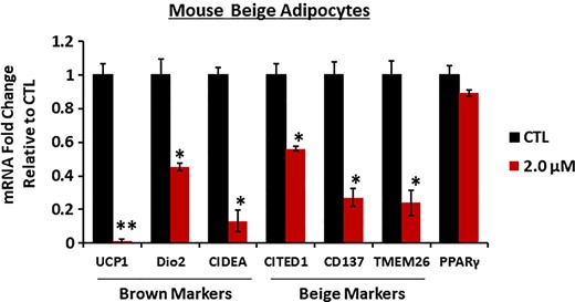 Dolutegravir (DTG) reduces beige adipogenic–specific markers in mouse adipocytes. Primary murine preadipocytes were isolated from inguinal white adipose tissue (4- to 6-week-old female mice) and differentiated to beige adipocytes in the presence of DTG (2.0 μM) for 8 days. Messenger RNA expression levels were measured by quantitative reverse-transcription polymerase chain reaction (n = 6). *P < .05; **P < .005. Abbreviations: CD137, tumor necrosis factor receptor superfamily member 9; CIDEA, cell eath inducing DFFA like effector a; CITED1, Cbp/p300-interacting transactivator 1; CTL, control; Dio2, iodothyronine deiodinase 2; mRNA, messenger RNA; PPARγ, peroxisome proliferator-activated receptor γ; SREBP1, sterol regulatory element binding protein1; TMEM26, transmembrane protein 26; UCP1, uncoupling protein 1.