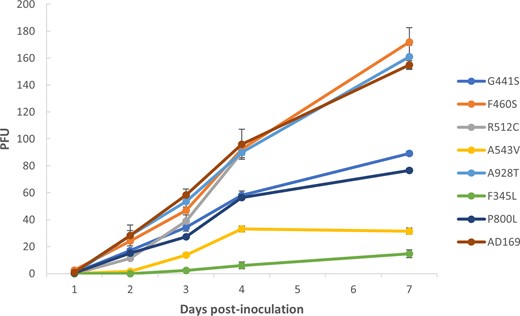 Growth capacity of newly characterized human cytomegalovirus variants. Each recombinant cytomegalovirus (CMV) strain was compared with an AD169 CMV control strain. Each strain was inoculated at an equal multiplicity of infection of 0.01. The plaque-forming units (PFUs) were counted from days 1 to 4 and on day 7 postinoculation. Data shown are the mean of 3 replicates set up simultaneously, with the corresponding standard deviation. The AD169 curve is the mean of 7 different experiments (1 repetition per variant).