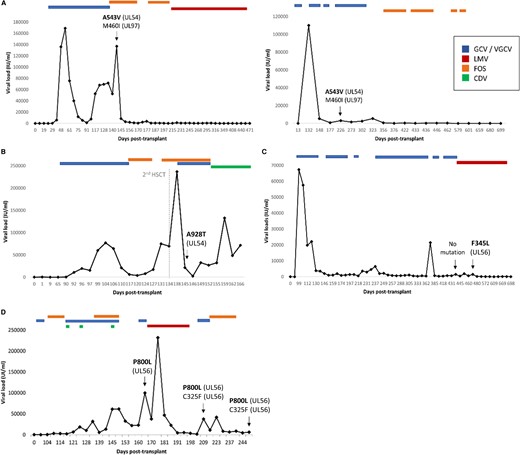 Clinical follow-up of patients with newly characterized phenotype mutations. Viral loads in IU/mL were tracked against days after transplantation. Anti-human cytomegalovirus treatment outset and end are indicated. Genotypic assays were performed in the clinical samples indicated with an arrow. New phenotype mutations in UL54 (A and B) and UL56 (C and D) are indicated in bold, together with previously characterized resistant mutations. CDV, cidofovir; FOS, foscarnet; GCV, ganciclovir; LMV, letermovir; VGCV, valganciclovir.