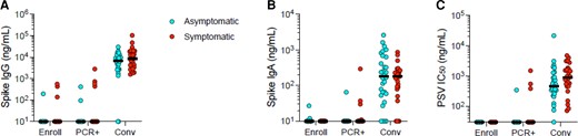 Antibody responses in asymptomatic and mild symptomatic SARS-CoV-2 infections. Data are shown for 3 time points: enrollment (Enroll), date of PCR-positivity (PCR+), and the convalescent period (Conv). A, Serum spike IgG titers; unpaired Mann-Whitney test (P = .4294). B, Serum spike IgA titers; unpaired Mann-Whitney test (P = .4616). C, SARS-CoV-2 PSV neutralization titers; unpaired Mann-Whitney test (P = .0819). Horizontal lines represent the median. Abbreviations: IC50, 50% inhibitory concentration; IgA, immunoglobulin A; IgG, immunoglobulin G; PSV, pseudovirus; SARS-CoV-2, severe acute respiratory syndrome coronavirus 2,