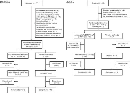 Consort flow of participants by cohort. Ad26.RSV.preF, adenovirus serotype 26 prefusion conformation-stabilized F protein; IMP, investigational medicinal product; RSV, respiratory syncytial virus; vp, viral particles.
