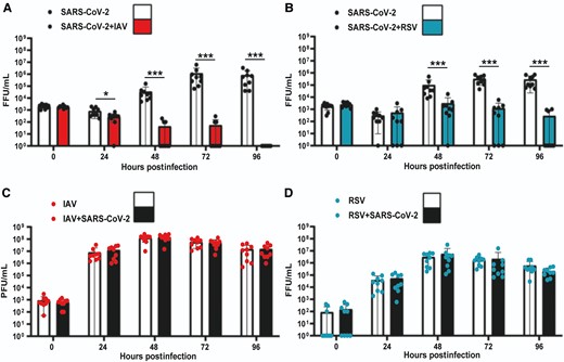 Replication kinetics of SARS-CoV-2, IAV, and RSV in single and coinfections of air-liquid interface cultures of human bronchial cells. A, SARS-CoV-2 titers in single SARS-CoV-2 infections (solid black circles, white background) and simultaneous SARS-CoV-2/IAV coinfections (solid black circles, red background). B, SARS-CoV-2 titers in single SARS-CoV-2 infections (solid black circles, white background) and simultaneous SARS-CoV-2/RSV coinfections (solid black circles, cyan background). C, IAV titers in single IAV infections (solid red circles, white background) and simultaneous SARS-CoV-2/IAV coinfections (solid red circles, background). D, RSV titers in single RSV infections (solid cyan circles, white background) and simultaneous SARS-CoV-2/RSV coinfections (solid cyan circles, black ground). Individual titers are shown as circles. Bars represent the mean of 9 values. Error bars represent the standard deviation. Data are combined titers from 3 independent experiments. Statistical significance was tested using Mann-Whitney U tests and separate tests were carried out for individual time points. * P <.05, *** P <.001. Abbreviations: FFU, focus forming units; IAV, influenza A virus; PFU: plaque forming units; RSV, respiratory syncytial virus; SARS-CoV-2, severe acute respiratory syndrome coronavirus 2.
