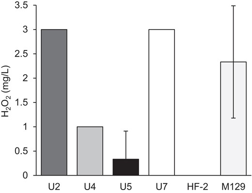 H2O2 production by Mycoplasma penetrans isolates. Production of H2O2 upon incubation with glycerol was measured as described in “Methods” for each strain of M. penetrans and compared to Mycoplasma pneumoniae M129. For each strain there were 3 replicates. Error bars, SD.