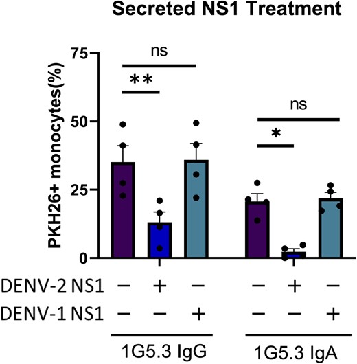 Soluble nonstructural protein 1 (NS1) is capable of antagonizing monocytic antibody-dependent phagocytosis. Phagocytosis assay with purified secreted dengue virus (DENV)–1 or DENV-2 NS1 added during the opsonization step. Percentage monocytes positive for target cell membrane indicates phagocytosis, n = 4 individual experiments. Error bars are mean ± standard error of the mean. *P < .05, **P < .01, paired 1-way analysis of variance. Abbreviations: DENV, dengue virus; IgA, immunoglobulin A; IgG, immunoglobulin G; ns, not significant; NS1, nonstructural protein 1.