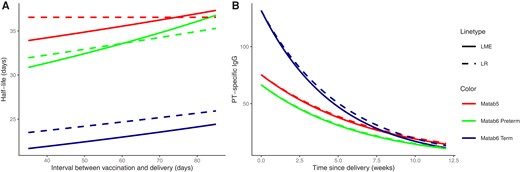 A, Effect of the interval between maternal vaccination and delivery on the half-life estimates of PT antibody. The red dashed line is constant because the LR model for MATAB 5 does not include the interval between vaccination and delivery as a covariate. B, Exponential decay of PT antibody titers over time for the average infant. The dashed line indicates the estimate for the direct approach (LR model) and the solid line for the indirect approach (LME model). Other continuous covariates were set to the mean of the respective study group. Abbreviations: LME, linear mixed effects model; LR, linear regression model; PT, pertussis toxin.