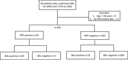 Inclusion and exclusion criteria and nasopharyngeal swab/bronchoalveolar lavage results. Abbreviations: BAL, bronchoalveolar lavage; NPS, nasopharyngeal swab; SARS-CoV-2, severe acute respiratory syndrome coronavirus 2.