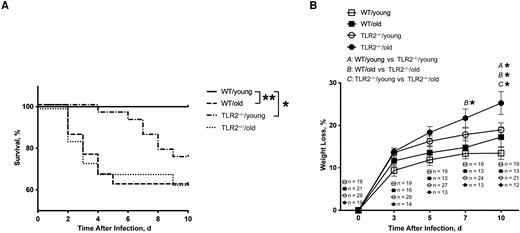 Aging and Toll-like receptor (TLR) 2 had a significant impact on the outcome of Staphylococcus aureus bacteremia in mice. C57BL/6 wild-type (WT) mice and TLR2–deficient (TLR2−/−) mice of both sexes, aged 13–28 weeks (young) or 73–89 weeks (old), were intravenously inoculated with the S. aureus Newman strain at a dose of 1.5 × 106 colony-forming units per mouse. The surviving mice were euthanized on day 10 after infection. Cumulative survival was followed up every 12 hours (A), and the changes in body weight were monitored up to 10 days after infection (B). The data were pooled from 2 independent experiments. Statistical evaluations were performed using the log-rank (Mantel-Cox) test (A) or 2-way ANOVA with Tukey's test (B). Data in B are presented as means with standard errors of the mean. *P < .05; **P < .01.