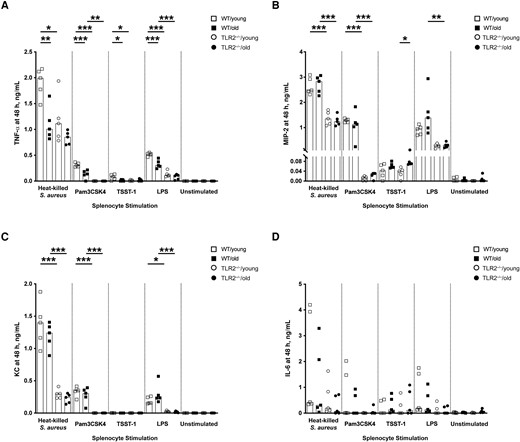 In vitro splenocyte tumor necrosis factor (TNF) production was down-regulated in aged mice. A–D, Levels of TNF-α (A), macrophage inflammatory protein (MIP) 2 (B), keratinocyte chemoattractant (KC) (C), and interleukin 6 (IL-6) (D) in the supernatants from splenocyte cultures (1 × 106 cells/mL) collected from young (aged 13–16 weeks) and old (aged 75–82 weeks) C57BL/6 wild-type (WT) and Toll-like receptor (TLR) 2–deficient (TLR2−/−) mice (n = 5 per group) after 48 hours of stimulation with heat-killed Staphylococcus aureus (Newman WT strain, 1 × 107 colony-forming units/mL), Pam3CSK4 (20 ng/mL), toxic shock syndrome toxin 1 (TSST-1; 100 ng/mL), or purified lipopolysaccharide (LPS) (1 µg/mL). Data were pooled from 2 independent experiments. Statistical evaluations were performed using 1-way ANOVA with Tukey's test, and bars indicate median values. *P < .05; **P < .01; ***P < .001.
