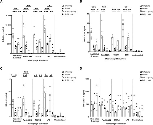 In vitro interleukin 6 (IL-6), macrophage inflammatory protein (MIP) 2, and keratinocyte chemoattractant (KC) production by peritoneal macrophages was age and Toll-like receptor (TLR) 2 dependent. A–D, Levels of IL-6 (A), MIP-2 (B), KC (C), and tumor necrosis factor (TNF) α (D) in the supernatants from peritoneal cell cultures (1 × 106 cells/mL) collected from C57BL/6 wild-type (WT) and TLR2-deficient (TLR2−/−) mice of both sexes, aged 13–16 weeks (young) or 75–82 weeks (old) (n = 5 per group) after stimulation with heat-killed Staphylococcus aureus (Newman WT strain, 1 × 107 colony-forming units/mL), Pam3CSK4 (20 ng/mL), toxic shock syndrome toxin 1 (TSST-1; 100 ng/mL), or purified lipopolysaccharide (LPS; 1 µg/mL) for 4 or 24 hours. Data were pooled from 2 independent experiments. Statistical evaluations were performed using 1-way ANOVA with Tukey's test, and data are presented as medians. *P < .05; **P < .01; ***P < .001.