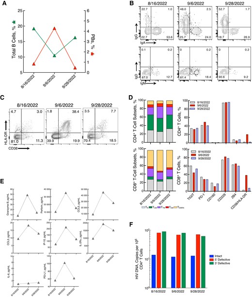 Dynamics of immunologic and virologic parameters in a woman with human immunodeficiency virus (HIV) and mild mpox infection. A, Changes in total B cells and plasmablasts (PBs) over the course of mpox infection. (Throughout figure, dates appear in month/date/year format.) B, Flow cytometric plots of cell surface immunoglobulin (Ig) isotype distribution among PBs at each time point. C, Frequencies of CD38+/HLA-DR+ on CD8+ T cells before (left), during (middle), and after (right) mpox infection. D, Frequencies of CD4+ and CD8+ T-cell subsets: naïve (TN), central memory (TCM), transitional memory (TTM), effector memory (TEM), and effector memory RA (TEMRA). The frequencies of TIGIT, programmed cell death 1 (PD-1), CD160, CD226, 2B4 and CD38/HLA-DR on CD4+ and CD8+ T cells are shown in parallel. E, Plasma levels of granzyme B, perforin, CCL5, CCL3, interferon-gamma-inducible protein 10 (IP-10), interleukin-2 receptor α (IL-2Rα), interleukin 6 (IL-6), and programmed cell death ligand 1 (PD-L1). F, Levels of intact, 5′ defective, and 3′ defective HIV proviral DNA before, during, and after mpox infection.