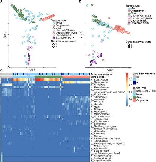 Microbiome composition of skin, mask, oropharyngeal, and background communities. A, Principal coordinate analysis (PCoA) using unweighted UniFrac distances of bacterial communities of all samples with minimum of 100 reads, colored by sample type. B, PCoA using weighted UniFrac distances. C, Relative abundance of common taxa (relative abundance >5% in at least 1 sample), identified at the genus or lowest level possible. Samples are shown in vertical columns and taxa are in rows; color represents the relative abundance in the sample. The top 2 rows indicate the sample type and duration of mask use associated with each sample. Abbreviations: OP, oropharynx; na, not applicable; f, family; g, genus; o, order.