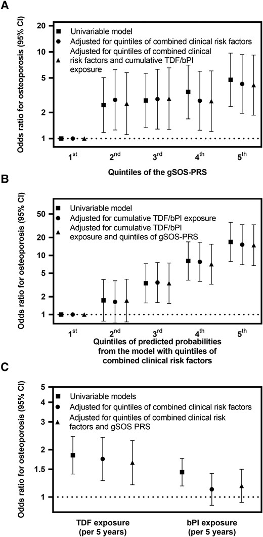 Odds ratios for osteoporosis according to the gSOS PRS, clinical risk factors, and TDF and bPI. Univariable and multivariable odds ratios and 95% CIs for osteoporosis according to (A) quintiles of the gSOS PRS, (B) quintiles of clinical risk factors, and (C) cumulative exposure to TDF and bPI. Results show simple logistic regression of associations with osteoporosis for 149 osteoporosis cases and 289 osteoporosis- and osteopenia-free controls. All odds ratios and 95% CIs are tabulated in Supplementary Table 2. bPI, boosted protease inhibitor; gSOS, genetically predicted heel quantitative ultrasound speed of sound; PRS, polygenic risk score; TDF, tenofovir disoproxil fumarate.