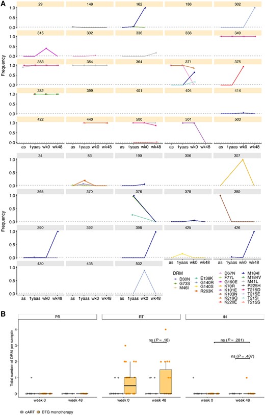 Drug resistance mutations (DRMs) in 43 individuals after APOBEC filtering. A, Frequency of each detected DRM over the 4 time points for each dolutegravir (DTG) monotherapy (orange) and combination antiretroviral therapy (gray) individual with a detection threshold of 2%. DRMs for integrase are depicted with squares, for protease with circles, and for reverse transcriptase with triangles. Time points with no information about frequency of DRMs have no point but a connecting line to the next time point. B, Total number of DRMs per gene and treatment group for Early Simplified Study (ESS) week 0 and ESS week 48. Depicted are individual numbers and boxplots with median and standard deviation. Wilcoxon test between DTG monotherapy and cART and for DTG monotherapy ESS week 0 vs ESS week 48 is shown if applicable. Abbreviations: 1yaas, 1 year after ART start; as, antiretroviral therapy start; cART, combination antiretroviral therapy; DRM, drug resistance mutation; DTG, dolutegravir; IN, integrase; PR, protease; RT, reverse transcriptase; wk0, Early Simplified Study week 0; wk48, Early Simplified Study week 48.