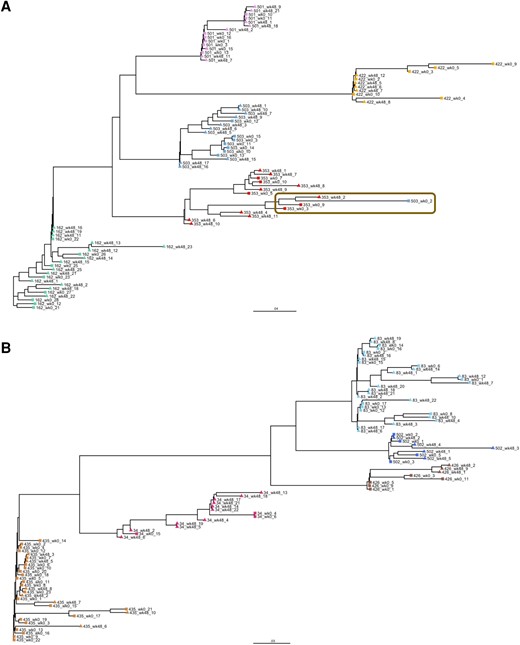 Maximum-likelihood phylogenetic tree of single proviruses for 10 participants. A and B, Unrooted phylogenetic tree of single proviruses from participants on dolutegravir monotherapy (n = 5, A) or combination antiretroviral therapy (n = 5, B). Single proviruses of Early Simplified Study (ESS) week 0 are shown with squares and ESS week 48 with triangles. All sequences of the same individual are shown in the same color. Cluster of extremely hypermutated sequences is shown in the brown box.