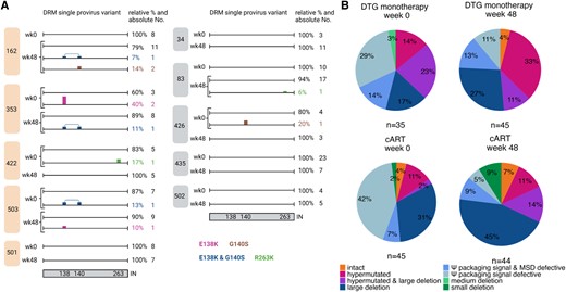 Single provirus analysis of 10 participants. A, Single proviruses with individual drug resistance mutation (DRM) pattern in integrase (IN) is shown for each found variant for the 5 dolutegravir (DTG) monotherapy (left, orange) and 5 combination antiretroviral therapy (cART) (right, gray) participants at Early Simplified Study (ESS) week 0 (wk0) and ESS week 48 (wk48). DRMs are shown color-coded on the sequence. Relative and absolute numbers of single proviruses on which the mutation was found are shown on the right of the sequence. Integrase is depicted schematically at the bottom with the numbers indicating the position of the found DRMs. B, Proviral landscape of 169 single proviruses for participants treated with DTG monotherapy (top) and cART (bottom). ESS wk0 is shown on the left (DTG monotherapy n = 35, cART n = 45) and ESS wk48 on the right (DTG monotherapy n = 45, cART n = 44). Shown are percentages of single proviruses with intact, hypermutated, hypermutated and large deletion (>2000 bp), large deletion, Ψ packaging and major splice donor (MSD) defects, Ψ packaging signal defects, and medium deletions (100–2000 bp) and small deletions (<100 bp) in the genome.