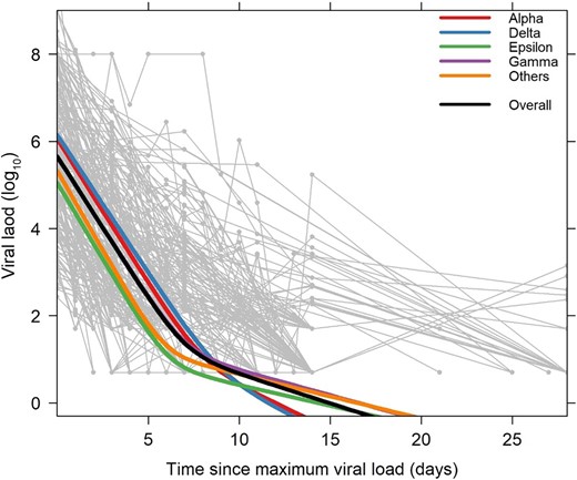 Spaghetti plot of the decay in viral load (light gray lines and symbols) for each participant (n = 204), with the best population fit represented as a thick black line. The decay dynamics estimated from the model for each variant is shown as thick lines in the following order from top to bottom at time 0: Delta, Alpha, Overall, Others, Epsilon (note that the line for Gamma is barely visible under the Overall/Others lines). The y-axis denotes log10 severe acute respiratory syndrome coronavirus 2 RNA copies/mL and the x-axis denotes time in days since maximum viral load.