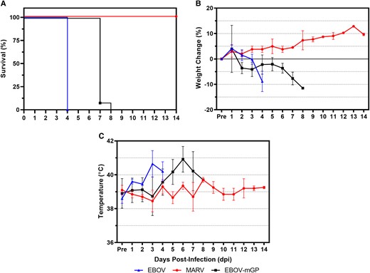 Clinical parameters of infected ferrets. (A) Survival curves, (B) percent weight change, and (C) temperature. Data shown as group means with error bars reflecting standard deviation. Pre, preinfection.