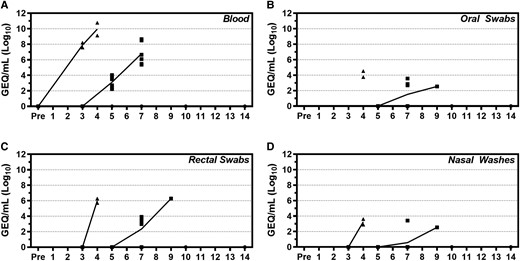 Viral RNA levels in blood, oral/rectal swabs, and nasal washes of infected ferrets. (A) Whole blood, (B) oral swabs, (C) rectal swabs, and (D) nasal washes were collected from each animal at 3, 5, 7, 10, and 14 days postinfection (dpi) as well as at time of euthanasia to evaluate viremia and viral shedding by reverse-transcription quantitative polymerase chain reaction. Results are depicted in genome equivalents per mL (GEQ/mL) for each animal (indicated by a square, triangle, or circle), with mean values depicted by a line.